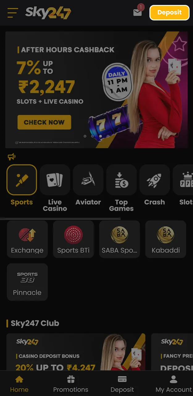 Use secure payment methods to add funds to your Sky247 account.