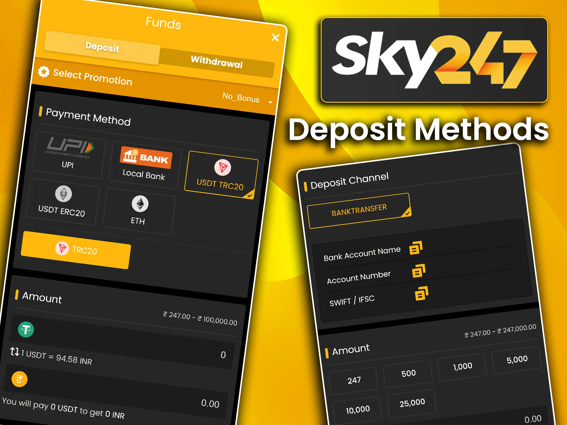 View the list of popular deposit methods including UPI and Netbanking used on Sky247.